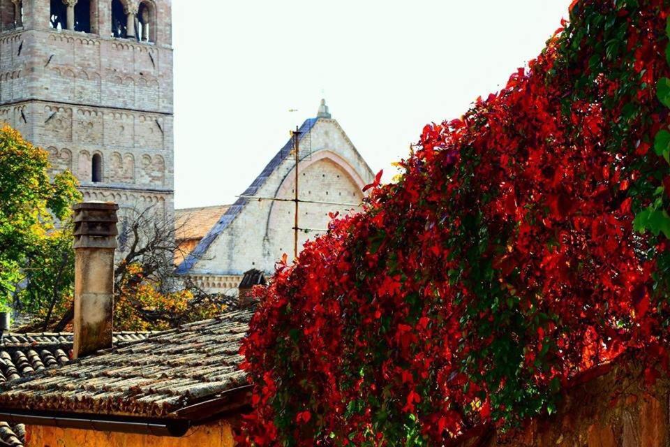 Apartments Aurora Delle Rose Assisi Buitenkant foto